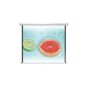 GTC Wall Screen 120x90 inch